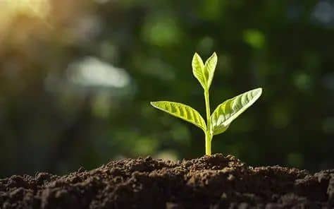 167705268884641000.jpg 640 - 副本(2).jpg